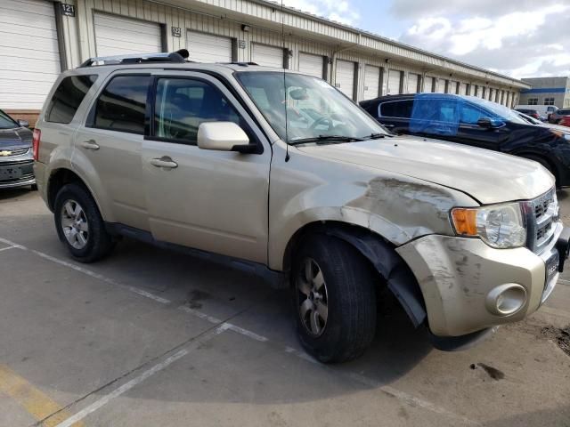 2011 Ford Escape Limited