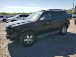 Salvage cars for sale from Copart Fredericksburg, VA: 2011 Ford Escape XLT