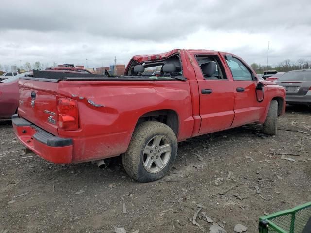 2011 Dodge Dakota SLT