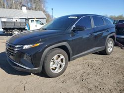 2024 Hyundai Tucson SE for sale in Assonet, MA