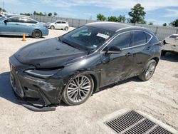 2022 Lexus NX 350 for sale in Houston, TX