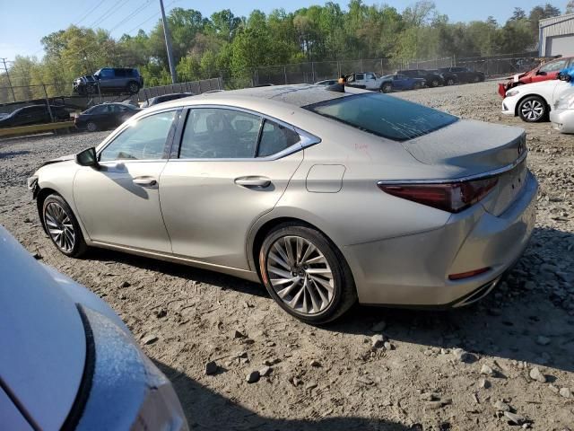 2019 Lexus ES 350