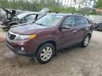 2012 KIA Sorento Base