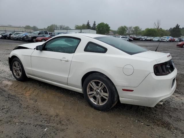 2013 Ford Mustang