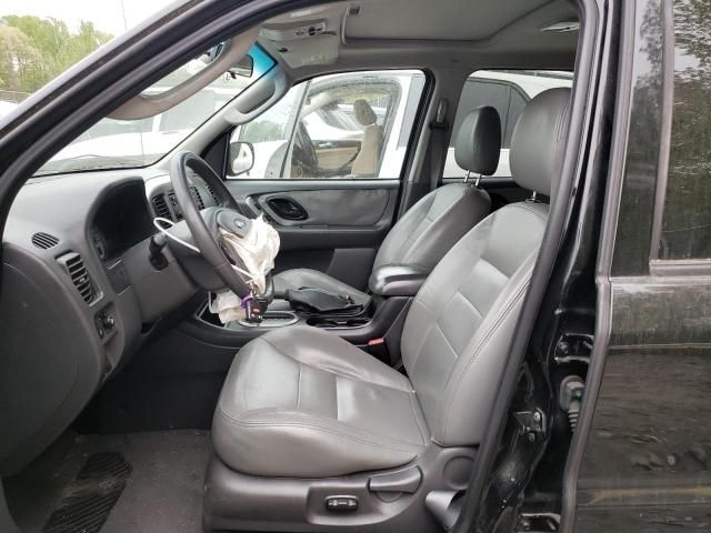 2005 Ford Escape XLT