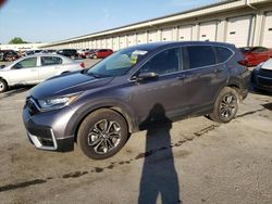 Salvage cars for sale from Copart Louisville, KY: 2021 Honda CR-V EX