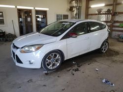 Ford Focus SEL salvage cars for sale: 2012 Ford Focus SEL