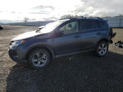 Salvage cars for sale from Copart Anderson, CA: 2015 Toyota Rav4 XLE