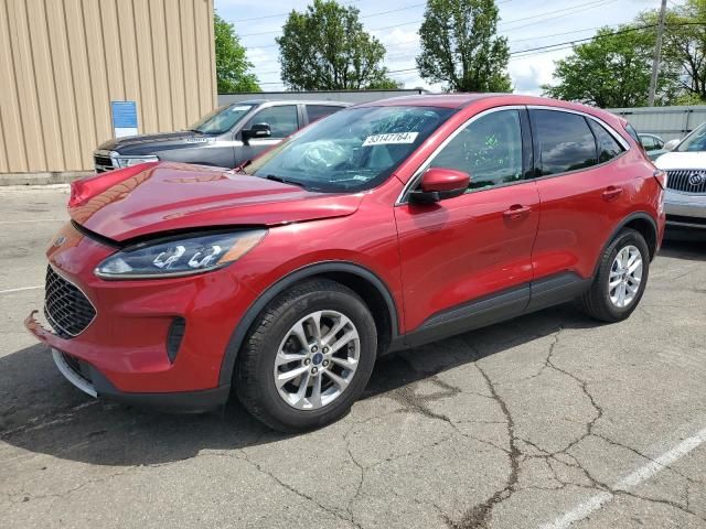 2020 Ford Escape SE