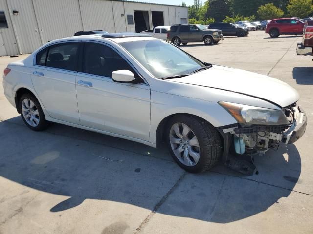 2009 Honda Accord EXL