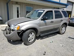 2001 Ford Escape XLT for sale in Earlington, KY