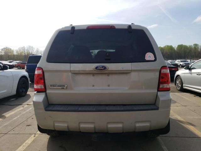 2008 Ford Escape XLT