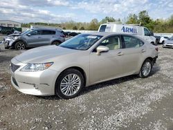 Lexus ES 350 salvage cars for sale: 2015 Lexus ES 350