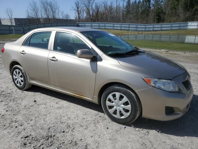 2010 Toyota Corolla Base