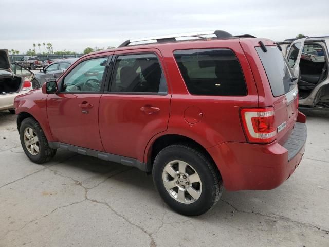 2011 Ford Escape Limited