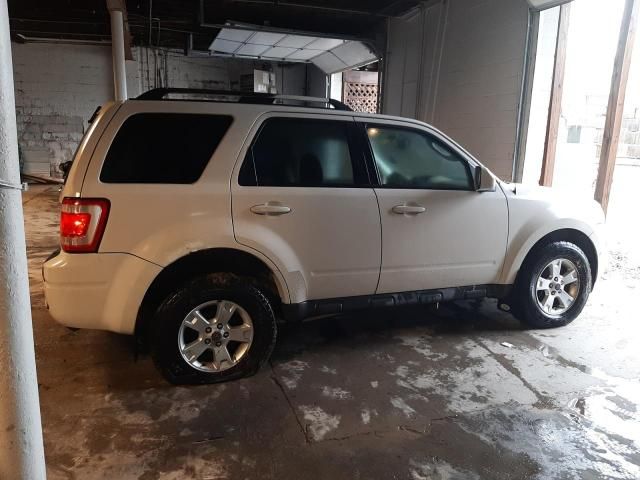 2009 Ford Escape Limited