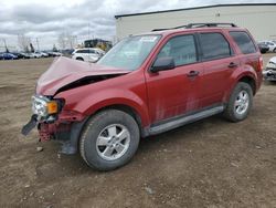 2012 Ford Escape XLT en venta en Rocky View County, AB