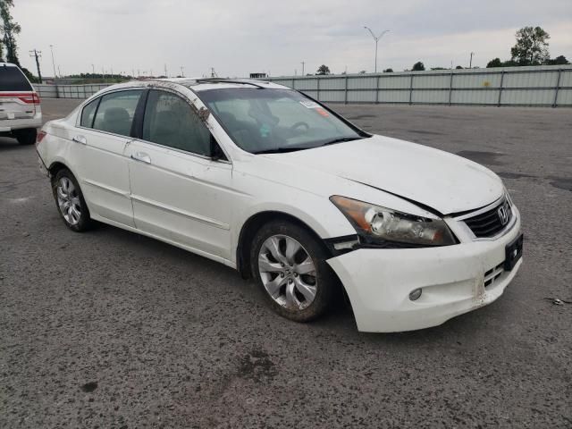 2010 Honda Accord EXL