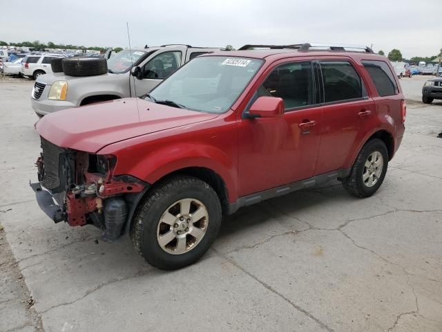 2011 Ford Escape Limited