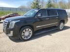 2020 Cadillac Escalade ESV Platinum