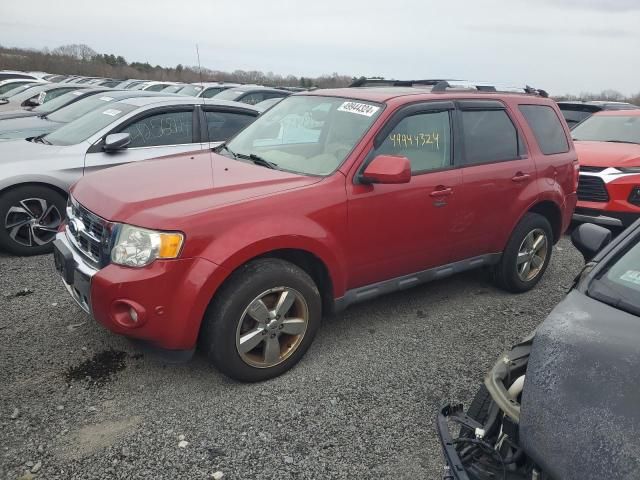 2011 Ford Escape Limited