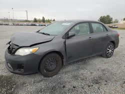 Toyota Vehiculos salvage en venta: 2013 Toyota Corolla Base