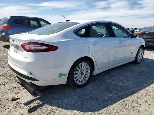 2016 Ford Fusion SE Phev