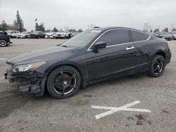 Salvage cars for sale from Copart Rancho Cucamonga, CA: 2010 Honda Accord EXL