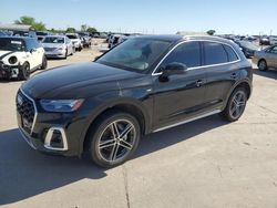 2023 Audi Q5 E Premium 55 for sale in Grand Prairie, TX