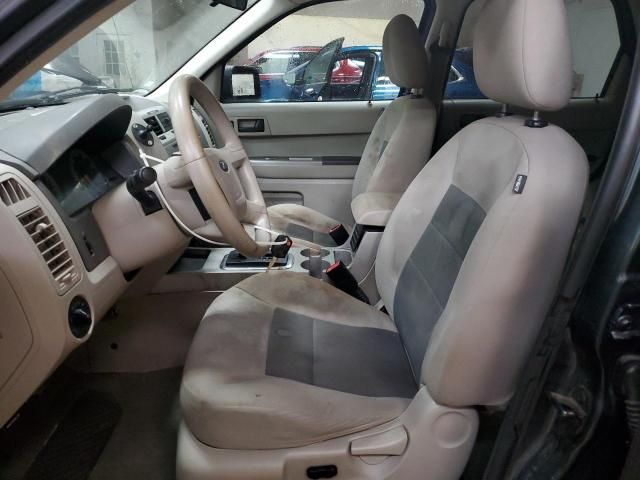 2008 Ford Escape XLT