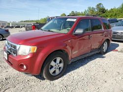2008 Ford Escape XLT for sale in Memphis, TN