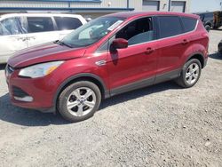 Ford salvage cars for sale: 2013 Ford Escape SE