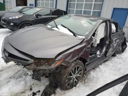 Toyota salvage cars for sale: 2021 Toyota Camry SE