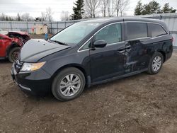 Honda Odyssey ex salvage cars for sale: 2016 Honda Odyssey EX