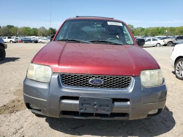 2004 Ford Escape XLT