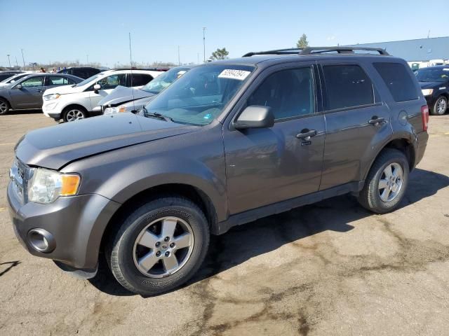 2011 Ford Escape XLT