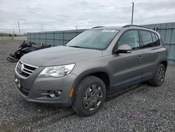 Volkswagen salvage cars for sale: 2009 Volkswagen Tiguan SE