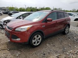 2016 Ford Escape SE for sale in Louisville, KY
