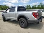 2023 Ford F150 Raptor