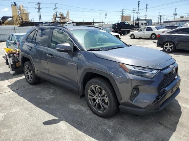 2023 Toyota Rav4 XLE Premium