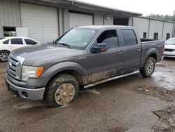 2009 Ford F150 Supercrew for sale in Grenada, MS