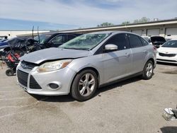 Salvage cars for sale from Copart Louisville, KY: 2013 Ford Focus SE