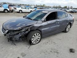 Salvage cars for sale from Copart Sikeston, MO: 2014 Honda Accord EXL
