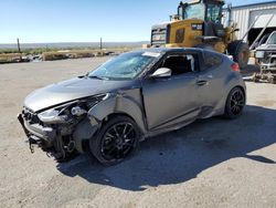 2015 Hyundai Veloster Turbo for sale in Albuquerque, NM