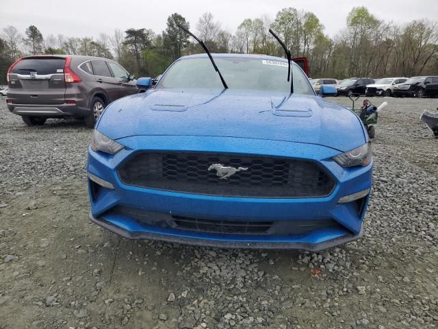 2019 Ford Mustang