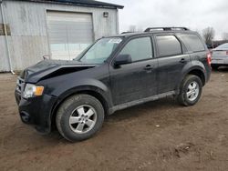 Salvage cars for sale from Copart Davison, MI: 2011 Ford Escape XLT