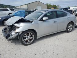 Nissan salvage cars for sale: 2014 Nissan Maxima S