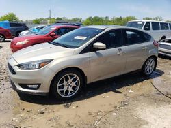 2015 Ford Focus SE for sale in Louisville, KY