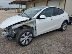 2023 Tesla Model Y for sale in Temple, TX