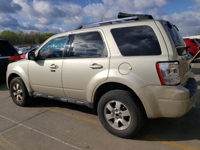 2011 Ford Escape Limited